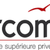 Logo IRCOM