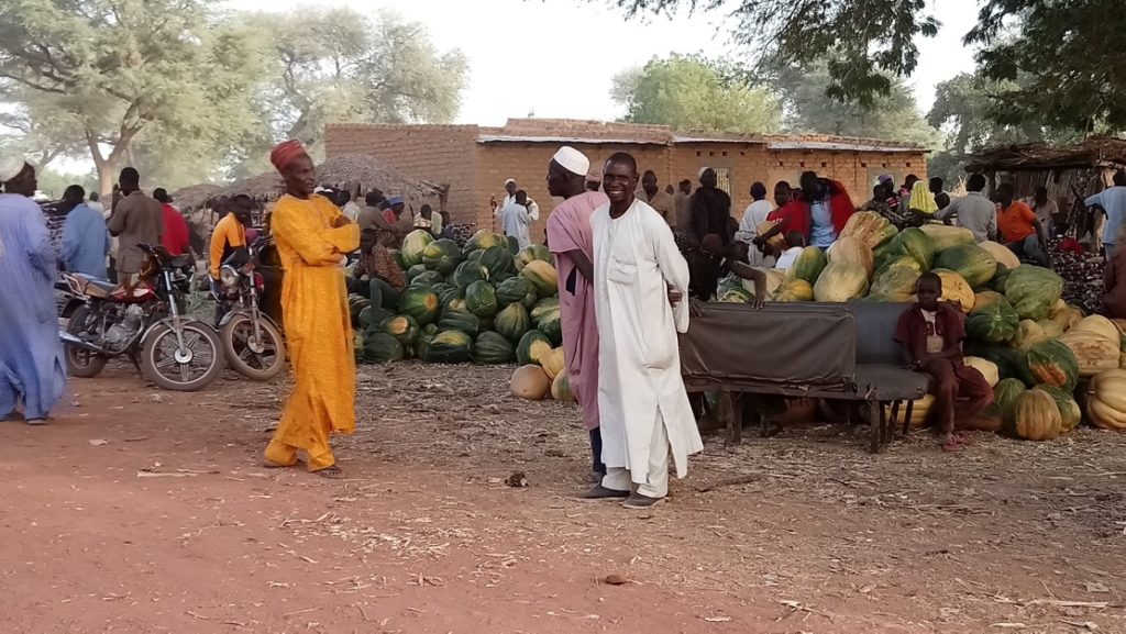{:en}NRC - Multi-Sectoral Needs Assessment in Niger{:}{:fr}NRC - Evaluation multisectorielle des besoins au Niger{:}