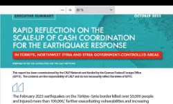 Rapid Reflection on the Scale-up of Cash Coordination for the Türkiye Syria Earthquake Response